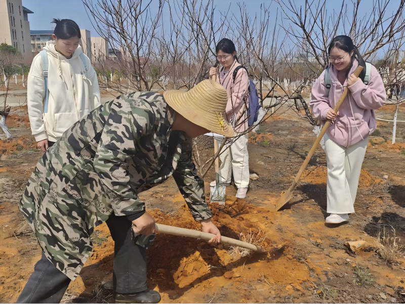 图片1(1).png 图片1(1).png